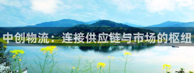 28圈注册送：中创物流：连接供应链与