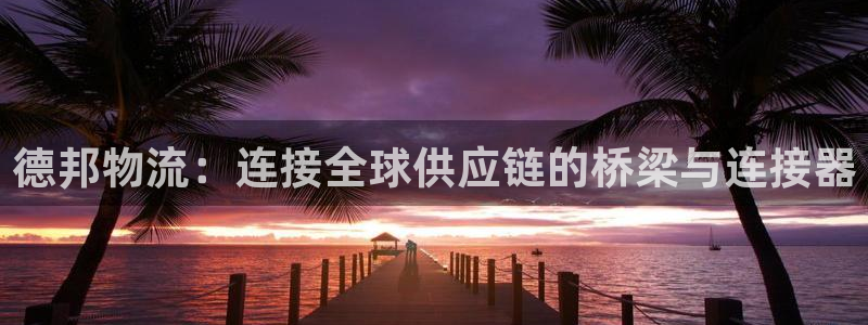 28圈充值方式：德邦物流：连接全球供