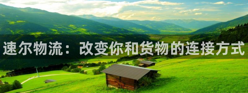 28圈电子游戏