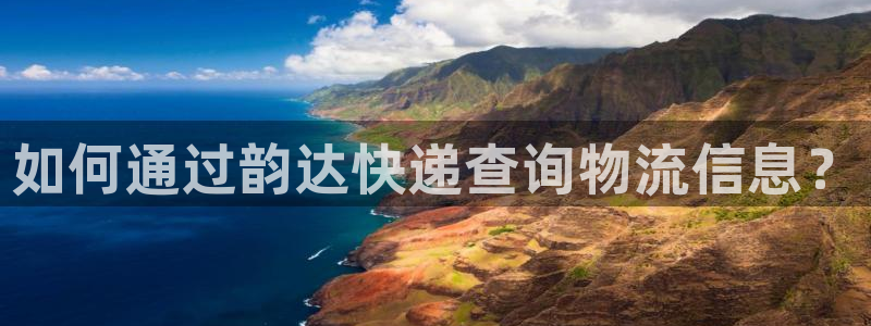 28圈起来的符号：如何通过韵达快递查询物流信息？