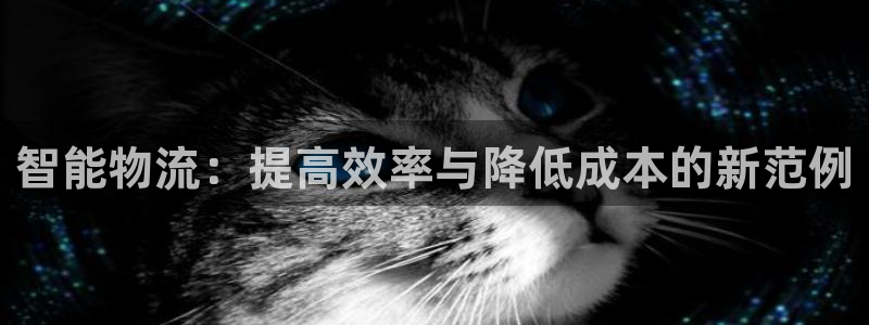 28圈下载不了