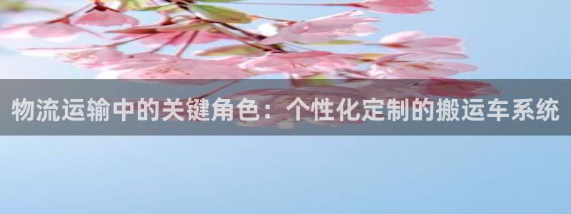 28圈网站平台是多少