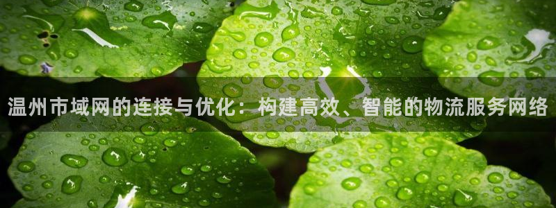 28圈官网开奖结果预测：温州市域网的