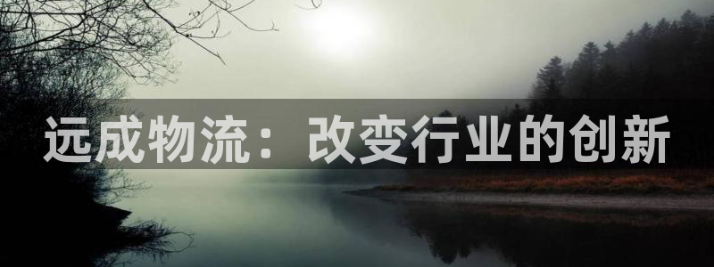 28圈注册上限是啥意思：远成物流：改