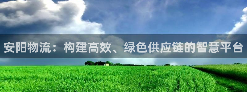 28圈官方网站预测：安阳物流：构建高