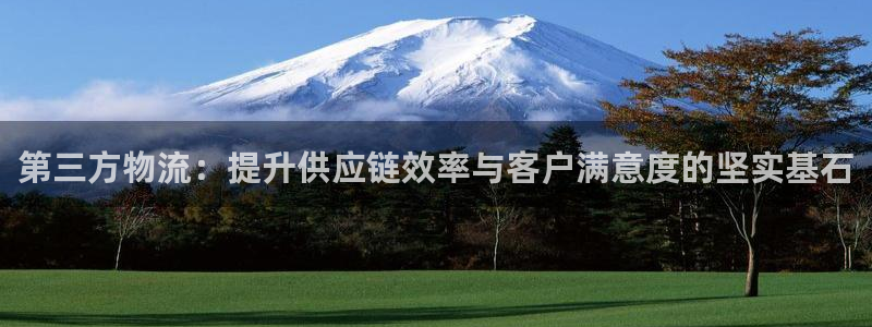 28圈充值方式：第三方物流：提升供应