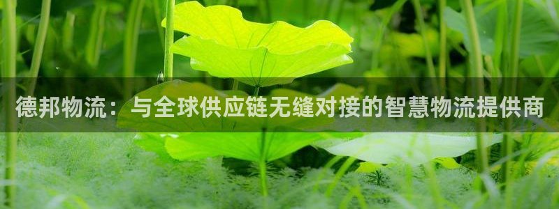 28圈充值不到账