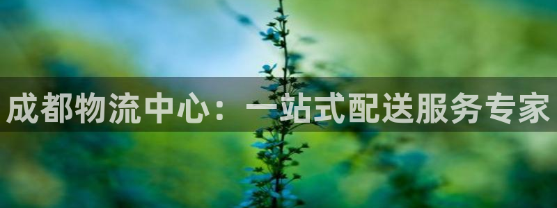 28圈玩法