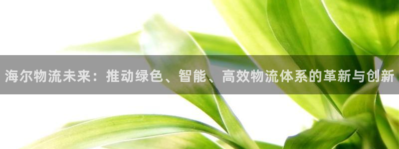 28圈注册用户名是什么：海尔物流未来