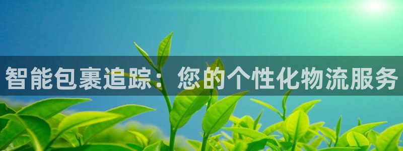 28圈系统自动保护：智能包裹追踪：您的个性化物流服务