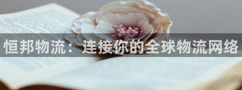 28圈注册登录链接流程：恒邦物流：连接你的全球物流网络