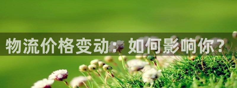 28圈下载二维码怎么弄：物流价格变动