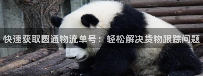 28圈注册网站多少：快速获取圆通物流