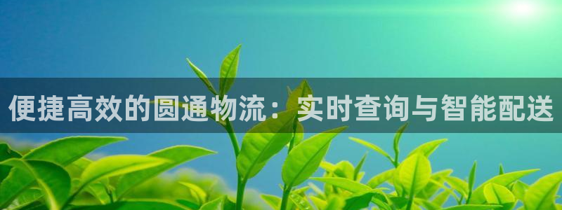 28圈头像：便捷高效的圆通物流：实时