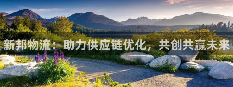 28圈游戏官网入口：新邦物流：助力供