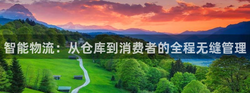28圈电子游戏：智能物流：从仓库到消