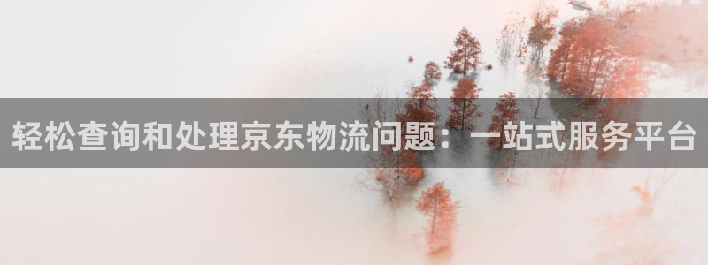28圈反水：轻松查询和处理京东物流问