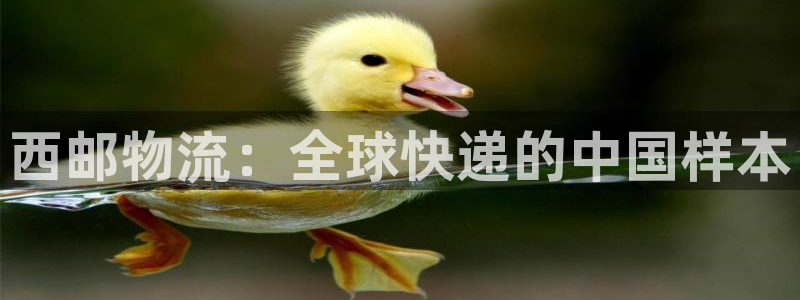 28圈开奖预测：西邮物流：全球快递的