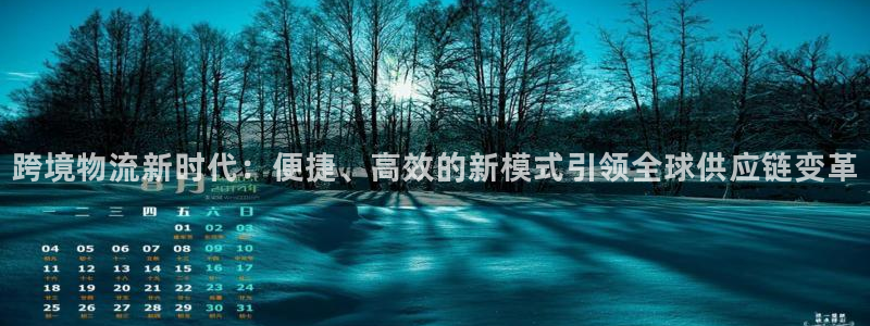 28圈怎么下载：跨境物流新时代：便捷