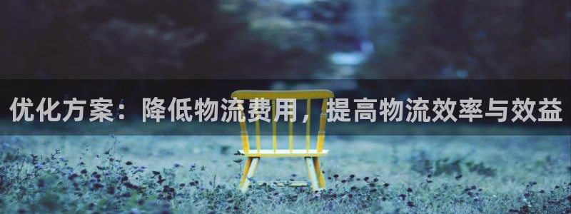 28圈充值不到账：优化方案：降低物流