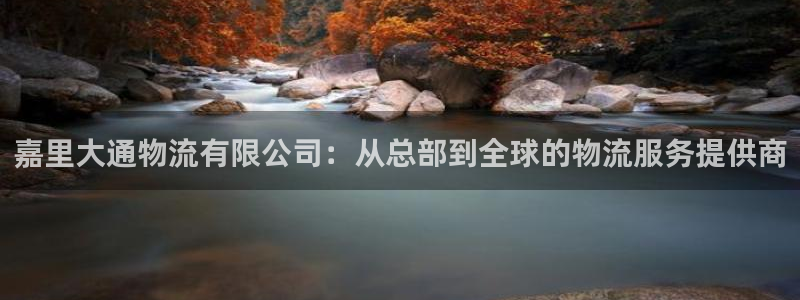 28圈账号注册：嘉里大通物流有限公司