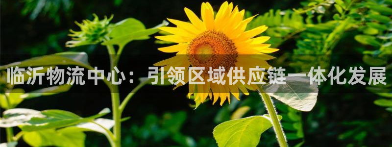 28圈分分28输了能不能退：临沂物流