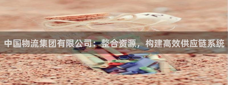 28圈注册教程：中国物流集团有限公司