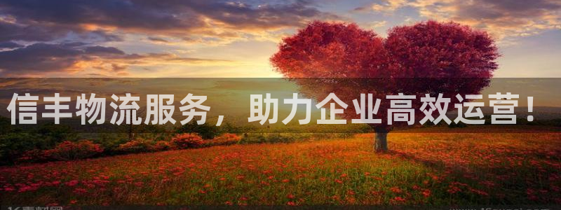 28圈比特28预测在线预测：信丰物流