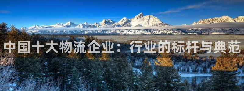 28圈注册登录流程：中国十大物流企业