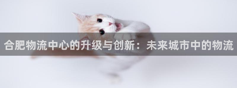 28圈怎么注册下载：合肥物流中心的升