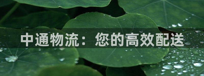 28圈口内径是多大：中通物流：您的高