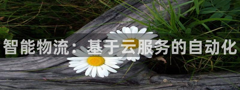 28圈网赌有什么风险：智能物流：基于