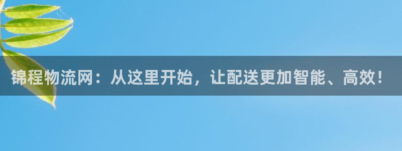 28圈充值不到账什么原因：锦程物流网