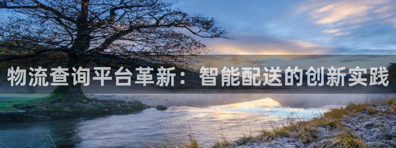 28圈加拿大pc预测