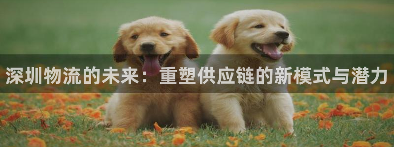 28圈吧：深圳物流的未来：重塑供应链