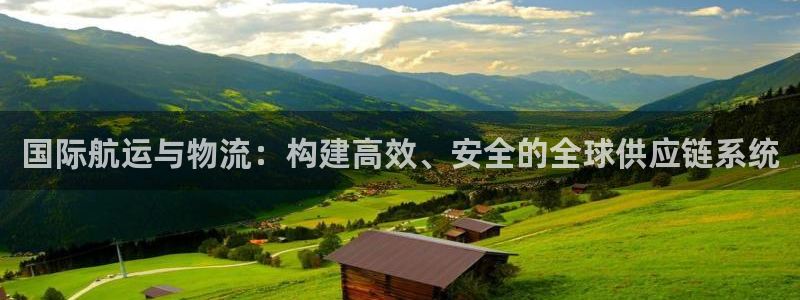 28圈充值金额随便：国际航运与物流：构建高效、安全的全球供应