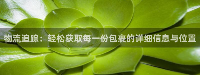 28圈怎么下载不了：物流追踪：轻松获