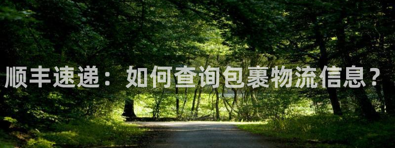 28圈连接：顺丰速递：如何查询包裹物