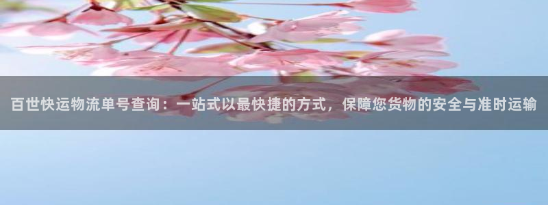 28圈里的财神：百世快运物流单号查询