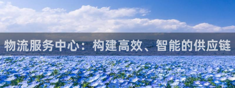 28圈推广链接是多少个：物流服务中心