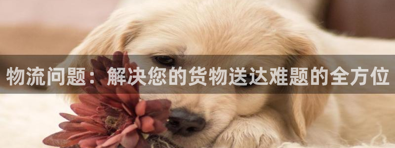 28圈注册地址：物流问题：解决您的货