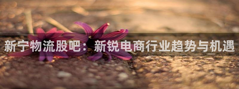 28圈注册官网：新宁物流股吧：新锐电