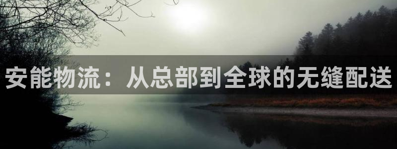 28圈注册网站链接怎么弄：安能物流：