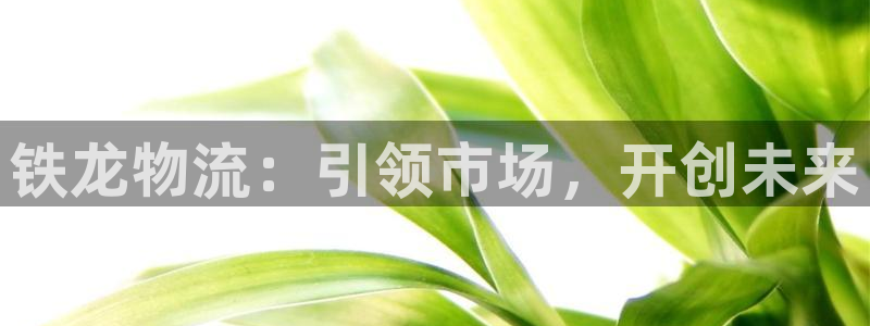 28圈提现未达5期是什么意思：铁龙物流：引领市场，开创未来