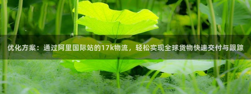 28圈.ccmpcios：优化方案：