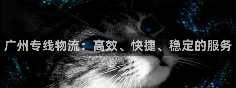 28圈在线预测：广州专线物流：高效、