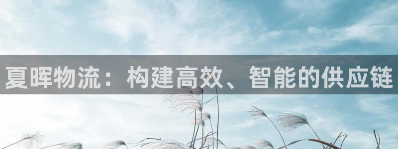 28圈客服一直不回消息怎么办：夏晖物