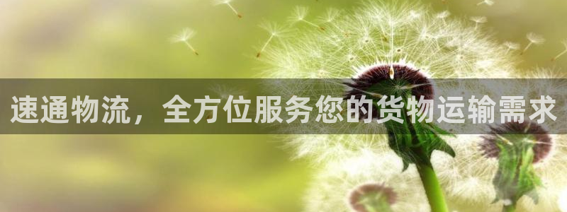 28圈加拿大走势：速通物流，全方位服