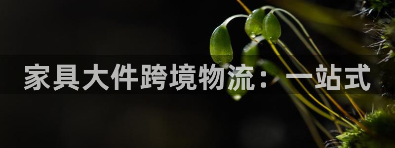 28圈链接来一个：家具大件跨境物流：