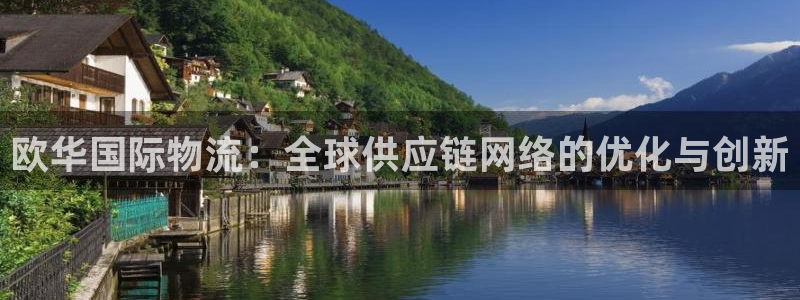 28圈cn：欧华国际物流：全球供应链